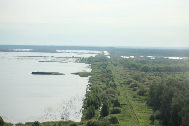IMG_ 351_800x533.jpg
