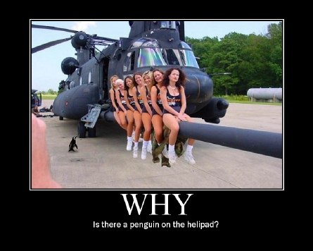heli.jpg