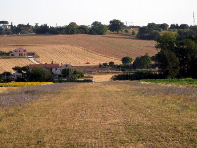 IMG_9716.JPG