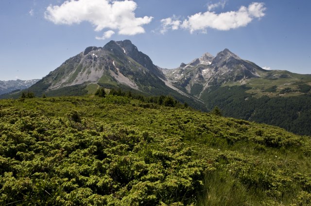 Гора Комови Северная часть Черногории