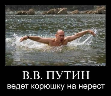 ImageUploadedByTapatalk1347132872.930414.jpg