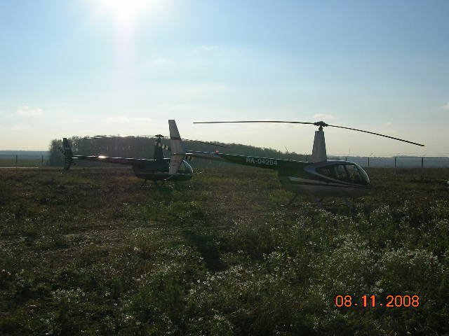 птички.JPG