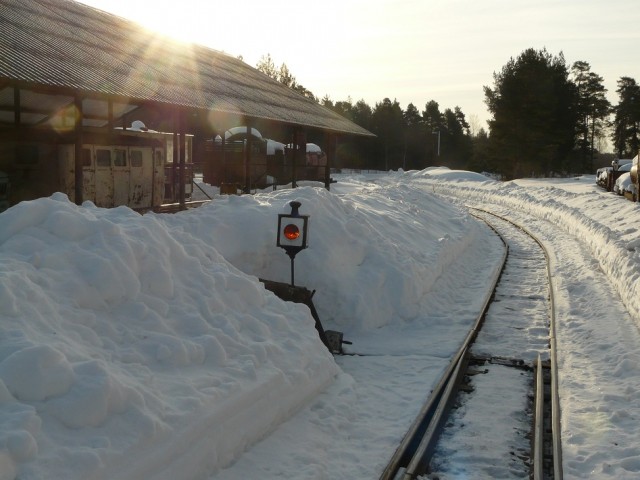 P1100122.JPG