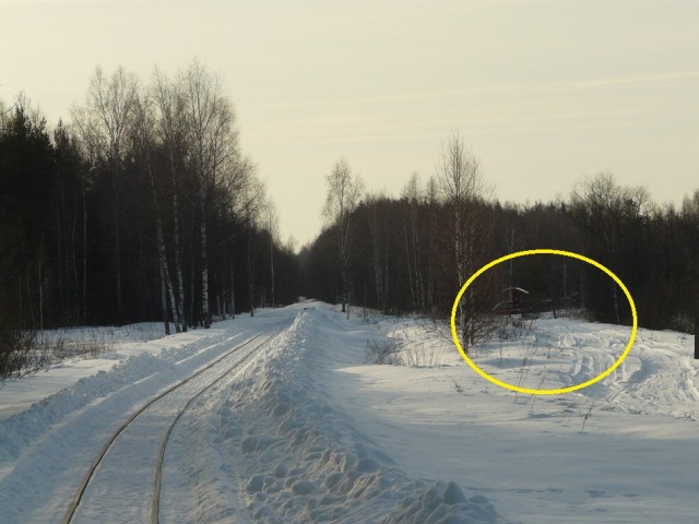 P1100130.JPG