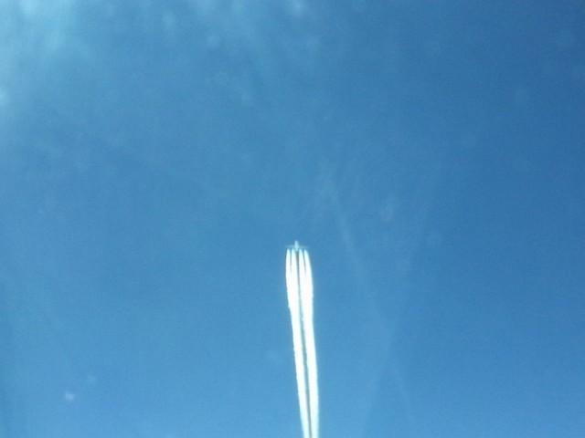 sized_20130303_123830_13.JPG