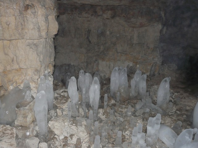 P1100160.JPG