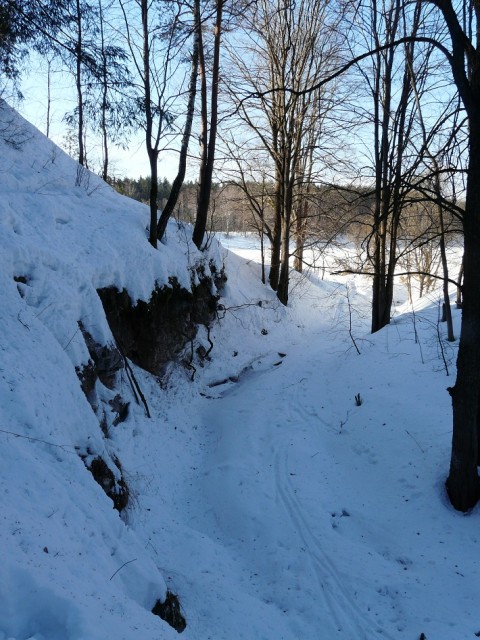 Тропка к реке