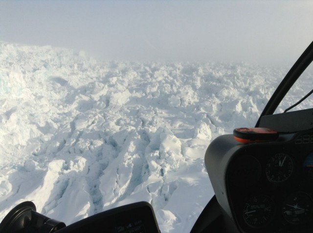 IMG_0671.jpg (83.11 КБ) 8437 просмотров IMG_0671.jpg