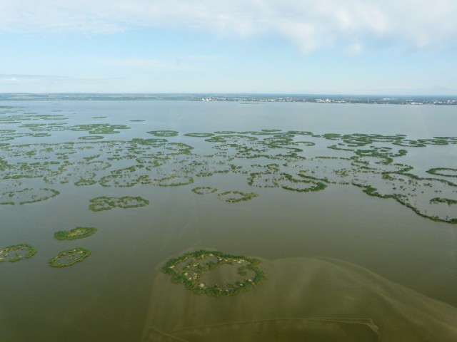 P1100545.JPG