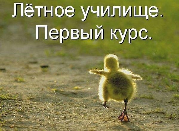 x_3c3bf43f.jpg