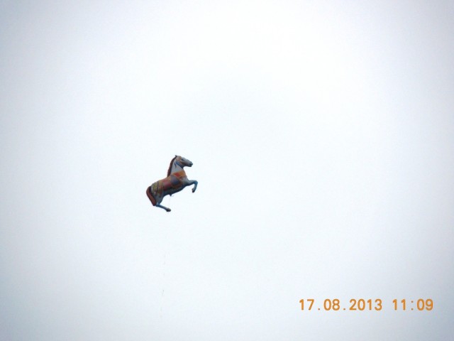 DSCN4684.JPG