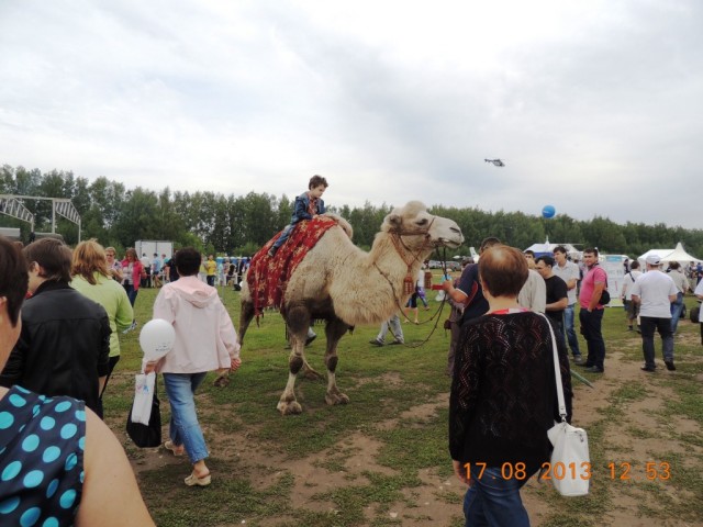 DSCN4719.JPG