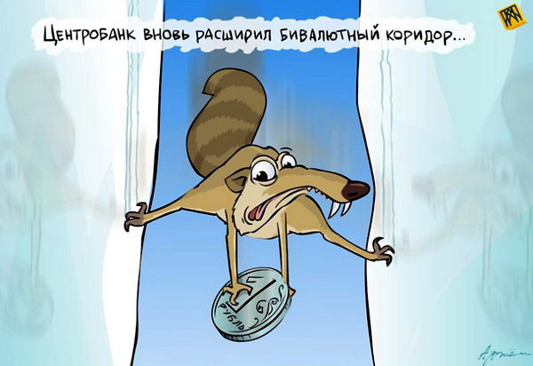 belka.jpg