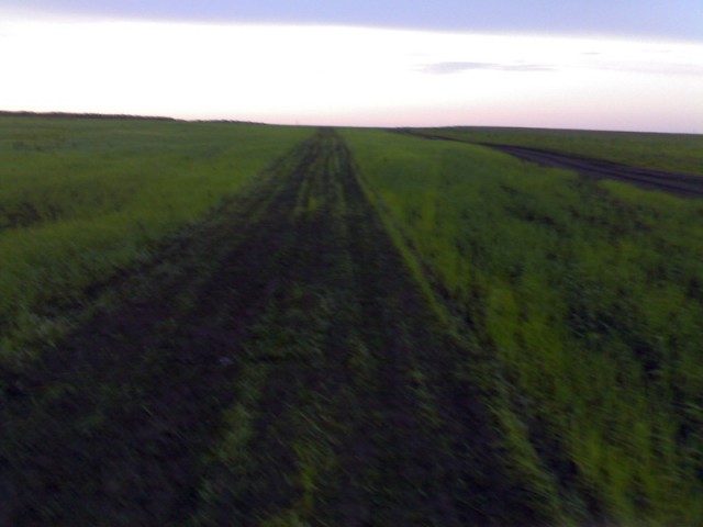 04072009707.jpg