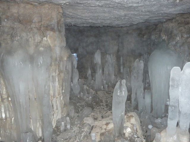 P1100161.JPG