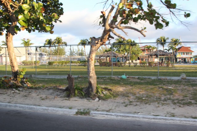 IMG_9358_новый размер.JPG (327.54 КБ) 11910 просмотров IMG_9358_новый размер.JPG