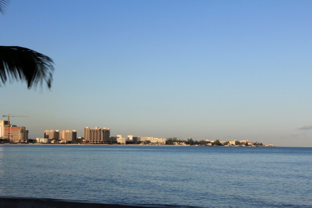 IMG_9371_новый размер.JPG (163.61 КБ) 11910 просмотров IMG_9371_новый размер.JPG