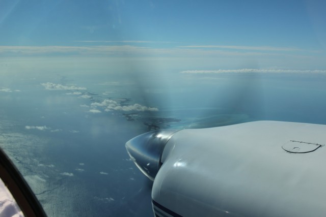 IMG_9397_новый размер.JPG (116.64 КБ) 11910 просмотров IMG_9397_новый размер.JPG