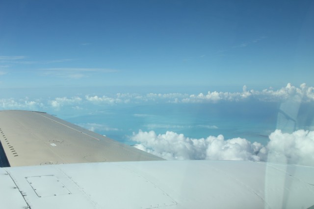 IMG_9402_новый размер.JPG (113.2 КБ) 11910 просмотров IMG_9402_новый размер.JPG