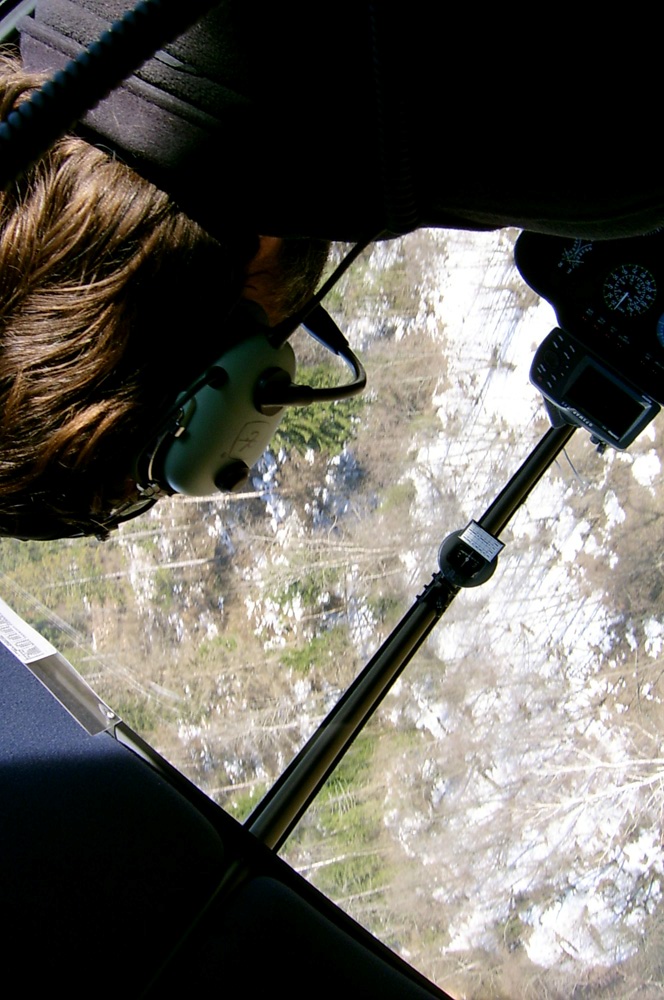 S3600021.jpg