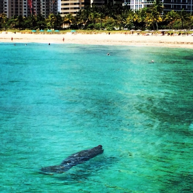 9JyOVrHoka0.jpg (161.92 КБ) 10585 просмотров 9JyOVrHoka0.jpg