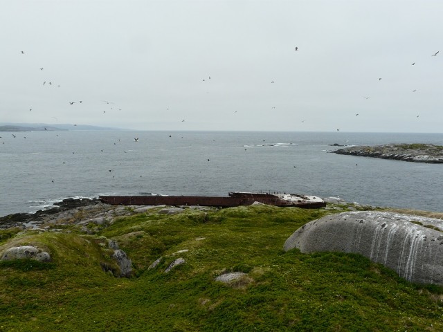 P1100968.JPG