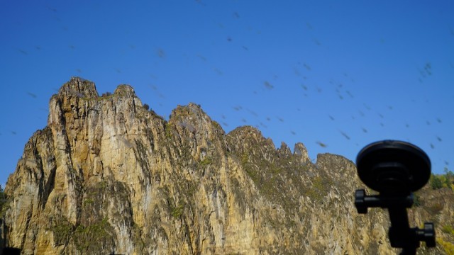 2014-09-18 09.33.53.jpg