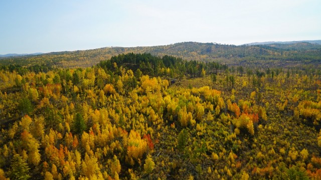 2014-09-19 07.03.12.jpg