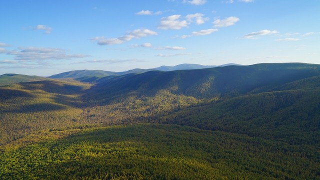 2014-09-19 11.39.19.jpg