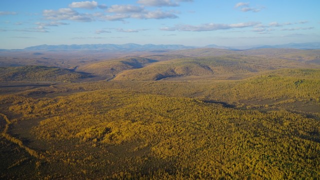 2014-09-19 11.51.21.jpg