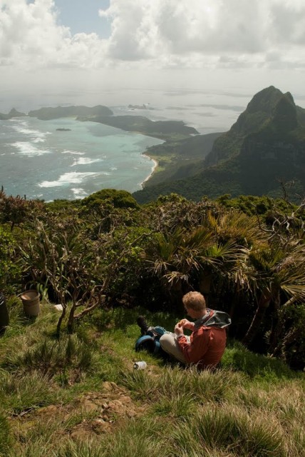 40633571.jpg (144.86 КБ) 7195 просмотров Остров Лорд Хау