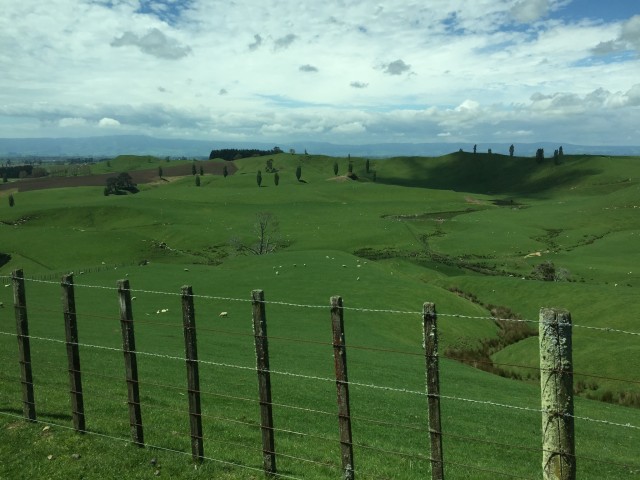 Hobbiton_3.JPG