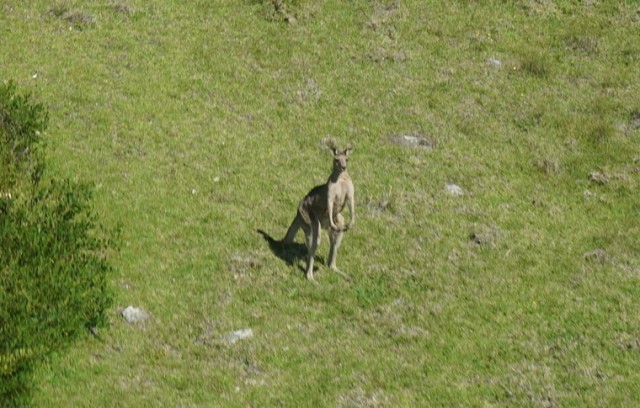 Australia_01.JPG