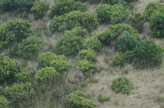 Australia_8.jpg
