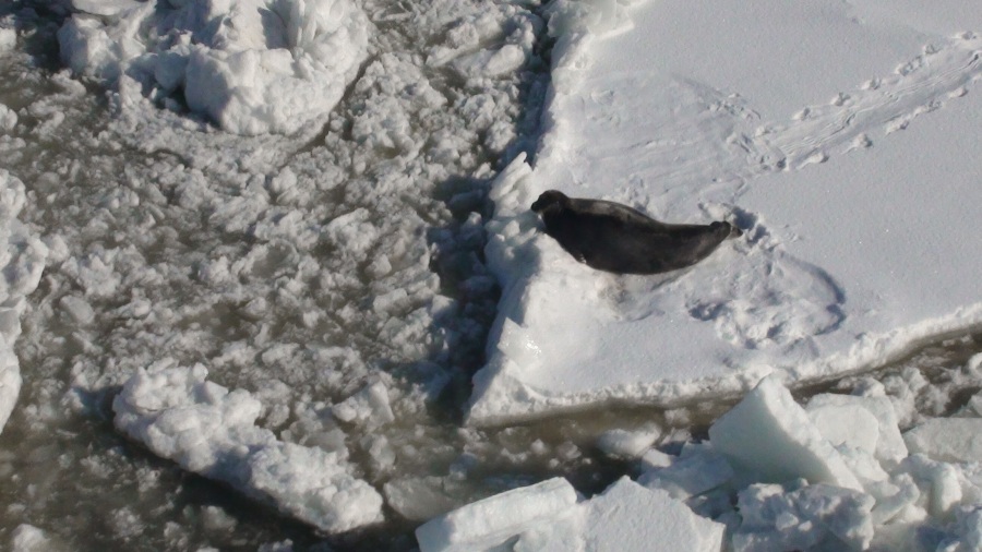 DSC00214.JPG