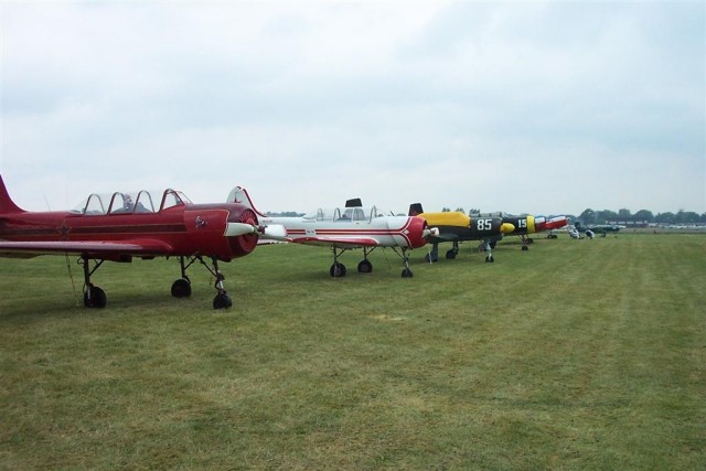 DCP_3295 (Large).JPG