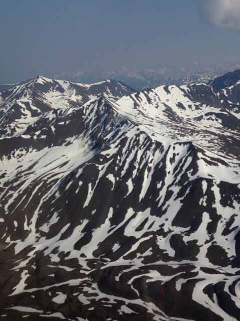 ImageUploadedByTapatalkHD1435154546.199752.jpg