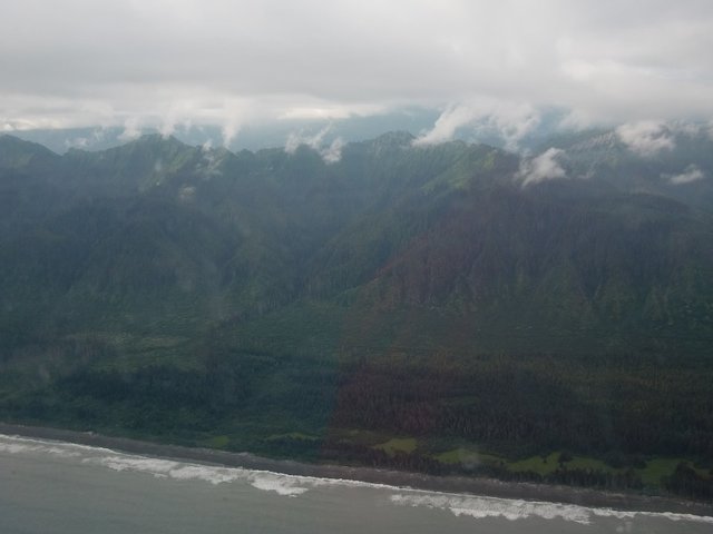 CIMG8208.JPG