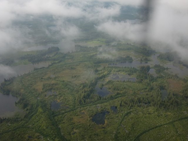CIMG8198.JPG