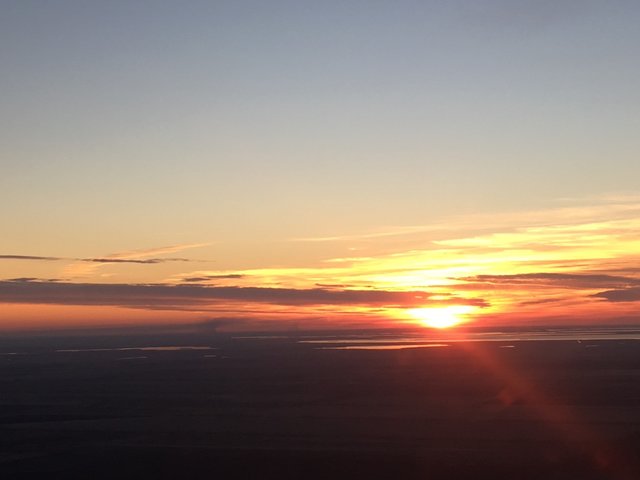 IMG_0474.jpg