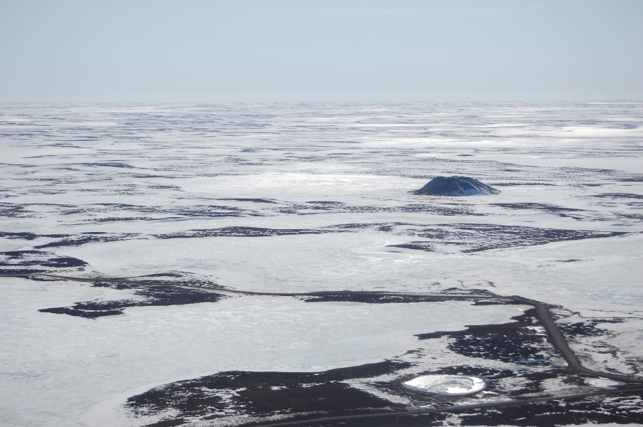 DSC_0474.jpg