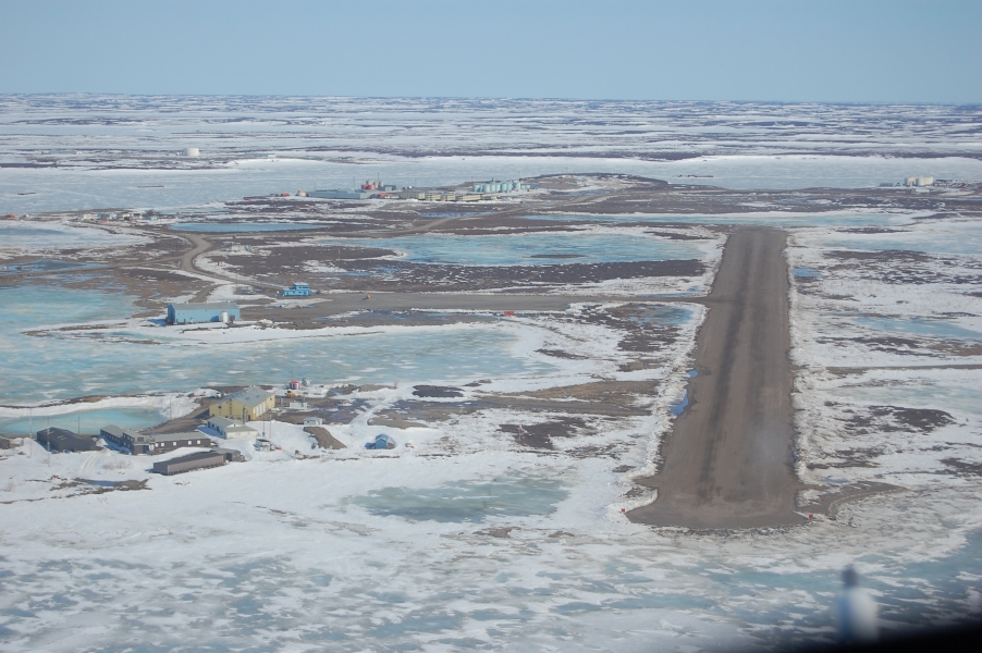 DSC_0486.jpg