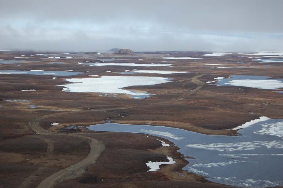 DSC_0917.jpg