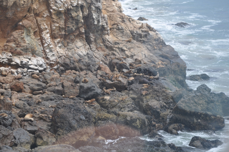 DSC_0592.jpg