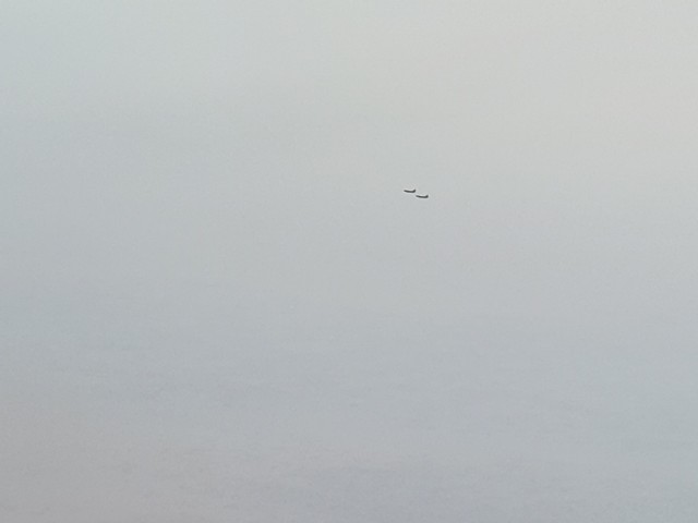 20180907_145913.jpg