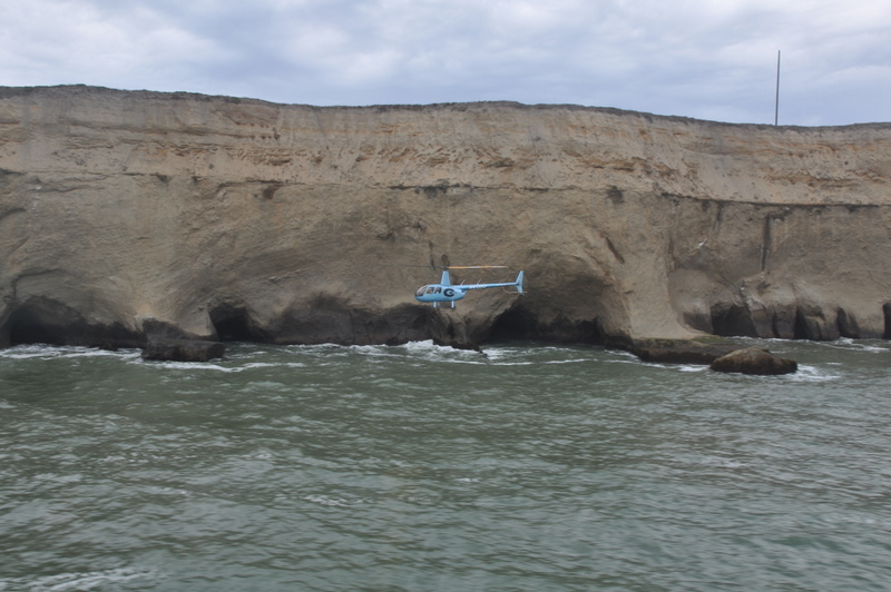 DSC_0990.jpg