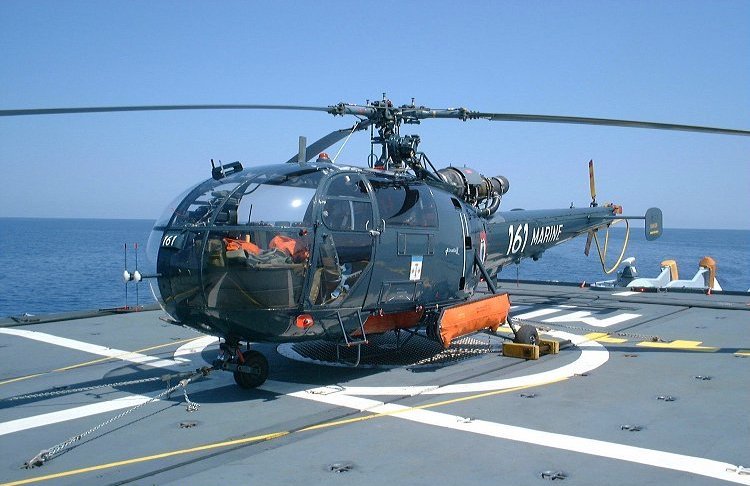 Alouette_Motte_Piquet.jpg