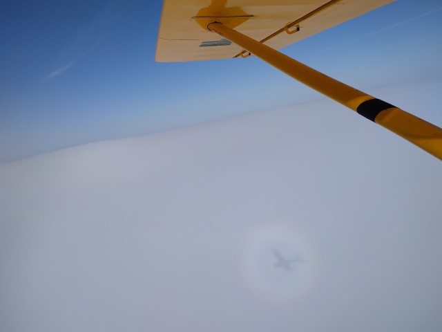 IMG_20200311_112051.jpg (545.79 КБ) 7271 просмотр 1200