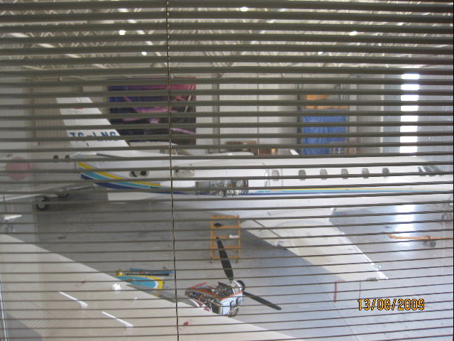 DSC00048.jpg