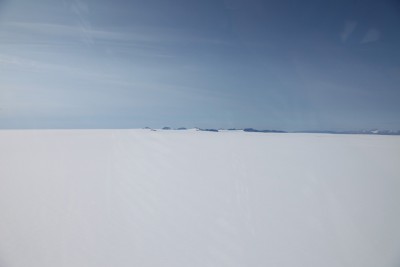 IMG_2591.jpg